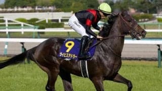 【日本ダービー過去10年傾向】近年は枠順の偏りなし 一方で40年以上続くジンクスも