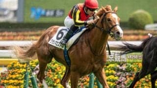 母は名牝グランアレグリア グランマエストロが初ダートで初勝利なるか