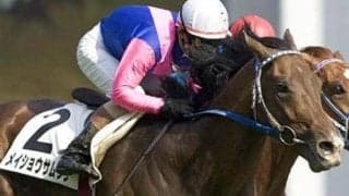 メイショウサムソン＆石橋守騎手のダービー制覇から20年