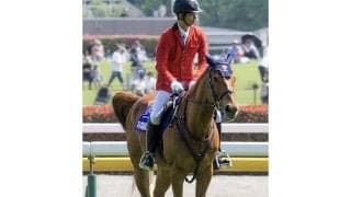 全国に9頭在籍 誘導馬として活躍する日本ダービー出走馬たち