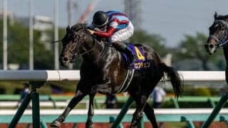 【日本ダービー】皐月賞馬ロブチェンは8枠17番へ