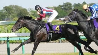 【日本ダービー】皐月賞馬・ロブチェンは530kg…出走馬の調教後の馬体重