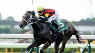 【葵S予想】スピード自慢集う3歳短距離重賞 京都1200mで真価問う一戦