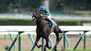 セットアップの登録抹消…乗馬に
