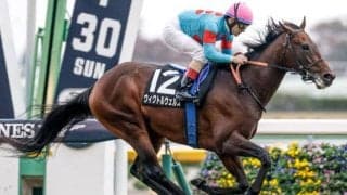 【目黒記念前日オッズ】ウィクトルウェルスが3.5倍で1番人気