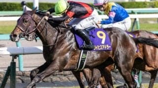 霜降り明星・粗品の日本ダービー本命はライヒスアドラー 3連複で勝負だ