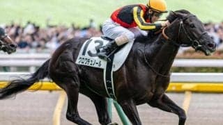 日本ダービーは人気馬が堅実か 皐月賞組に注目だ