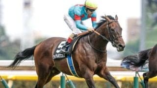 【目黒記念予想】ダービーの余韻残る長距離ハンデ戦 持久力勝負の2500m舞台