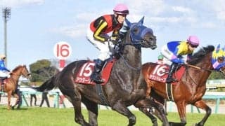【日本ダービー予想】世代最高の栄誉かける大一番 東京2400mで総合力試される