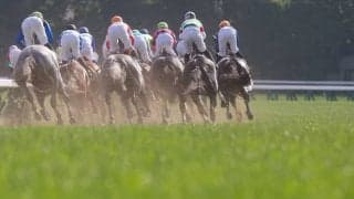 【日本ダービー／馬場情報】Cコース替わりでも「8枠」の攻勢続く東京芝　土曜2勝の特注血統が“爆穴”候補