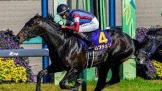 【日本ダービー・馬体重】ロブチェンは522kg(+2)、リアライズシリウスは528kg(±0)