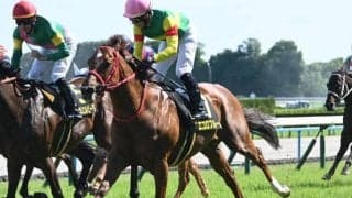【安土城S結果】骨折休養明けのエコロブルームが復活V 24年ニュージーランドT覇者