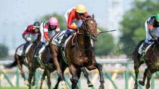 【日本ダービー】武豊騎手の“美しいジョッキーカメラ”映像が話題に…「ほーらほーら、お友達、お友達」と優しく声かけ