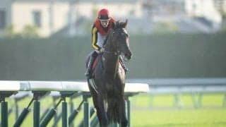 【目黒記念】レーン騎手に過怠金7万円…ファイアンクランツ騎乗時のムチ使用で制裁