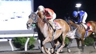【高知・丸山台特別】ベルリネッタが差し切りV！人気馬撃破で準重賞初制覇
