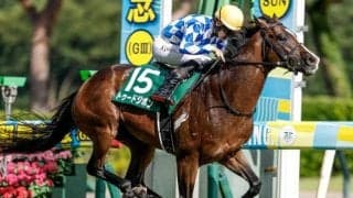 【先週のJRA抹消馬】24年のサマーマイル王者トゥードジボン、23年の札幌2歳S覇者セットアップなど