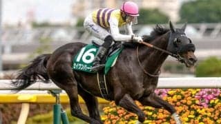 【AI予想・安田記念】春の最強マイラー決定戦は混戦ムード！ 人気薄の大駆けも警戒する人工知能の本命候補