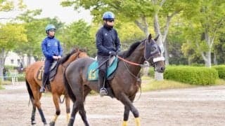 今週からJRA新馬戦の幕開け 良血馬ジョドレルバンクなどがスタンバイ/関東馬メイクデビュー情報