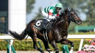 【安田記念】史上4組目の父仔制覇なるか 2頭のロードカナロア産駒が登録