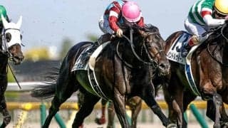 ハイレベルな能力で見事二冠達成 ロブチェンの血統背景に迫る