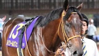 【安田記念】史上2頭目の初芝でのJRA・GI勝ちへ ルクソールカフェが意欲の参戦だ