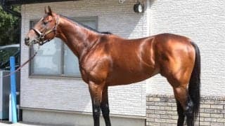 「今度こそGI獲りの大チャンス」 馬体派記者が注目する安田記念出走馬