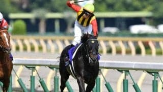 国内最強マイラー撃破 ロゴタイプの安田記念Vから10年