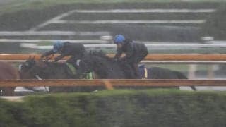 クロワデュノール、宝塚記念1週前追い切り速報/栗東トレセンニュース