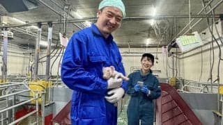 千葉ジェッツ・荒尾岳が養豚場で学んだ「いただきます」の重さ