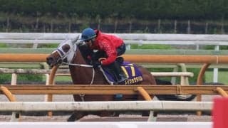 メイショウタバル、宝塚記念1週前追い切り速報/栗東トレセンニュース