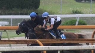ミュージアムマイル、宝塚記念1週前追い切り速報/栗東トレセンニュース