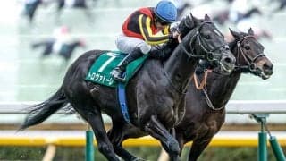 【安田記念出走馬・騎手確定】トロヴァトーレ＆C.ルメール騎手、ガイアフォース＆横山武史騎手など17頭