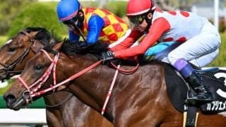 日本ダービー除外の良血カフジエメンタール 自己条件で確勝期す