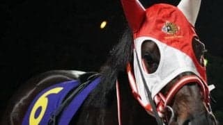 半兄はJDD覇者のダノンファラオ シャインラブがデビュー勝ちなるか
