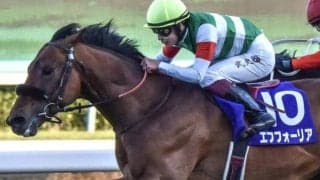 エフフォーリア初年度産駒 クロワデュノールの甥ジョドレルバンクがデビュー勝ち狙う