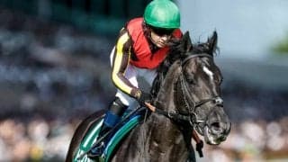【安田記念枠順確定】トロヴァトーレは8枠17番、ガイアフォースは7枠14番