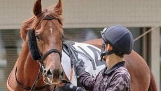 全姉ナムラクレア ナムラロダンが待望の初勝利なるか
