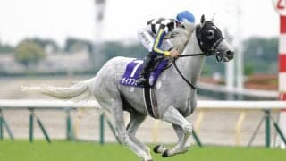 【安田記念】昨年2着ガイアフォースは7枠14番