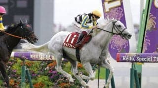 【安田記念】ガイアフォースは504kg…出走馬の調教後の馬体重