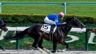 【今日の注目ポイント】阪神競馬が開幕 新馬戦がスタート