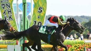 【競馬予想】安田記念で絶対に外せない「東京・芝1600ｍ」に強い血 本命・対抗も同じ牝系の馬を狙う
