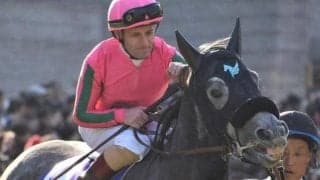 父は新種牡馬のオメガパフューム サンシルヴァリーがデビュー勝ち狙う