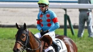半姉はエンブロイダリー バートラガッツが無傷2連勝なるか