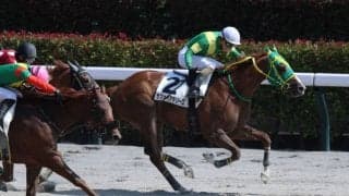 【東京8R】13番人気サファイアテソーロが大波乱…3連単150万円超の高配当決着