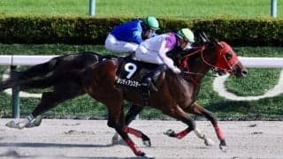 【麦秋S】ディー騎乗メリディアンスターが3連勝…着差以上の強さでオープン入り