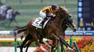 【新馬/東京4R】世代一番星はラードンチェイス、豪快差し切りで新馬V