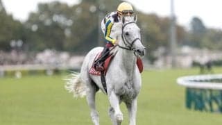 【今日の注目ポイント】春のマイル王決定戦・安田記念