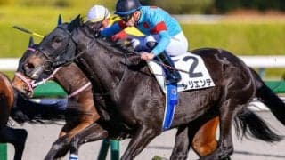 半兄は19年の2歳マイル王サリオス サリエンテが5カ月ぶり復帰戦で初勝利狙う