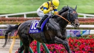 安田記念は中波乱傾向の一戦 前走の人気に注目だ
