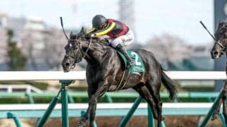 【安田記念予想】スピードと瞬発力問われる東京マイル 馬場状態もカギ握るGI